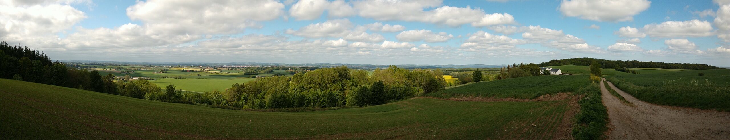 Bjerre Skov