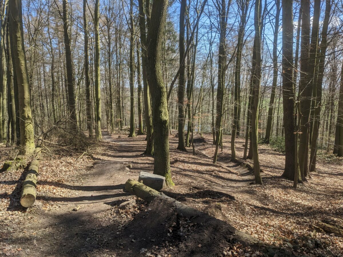 Downhill Schwentinental (Raisdorf)